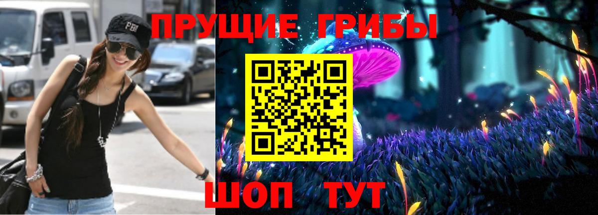 Псилоцибиновые грибы Psilocybine cubensis  Вход с VPN  Избербаш 